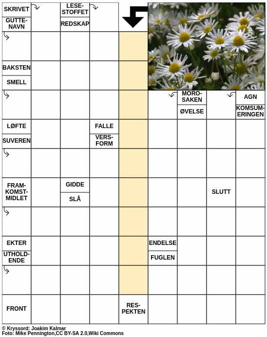 Dagens kryssord – 3. April - 2024
