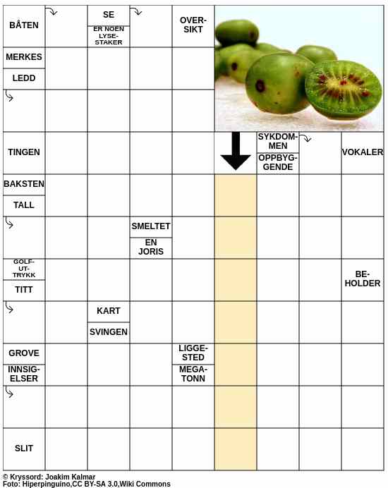 Dagens kryssord – 14. September - 2025