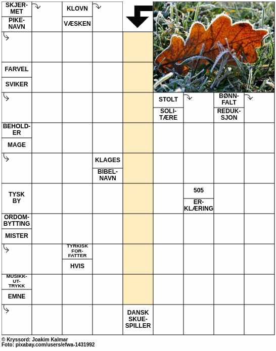 Dagens kryssord – 24. September - 2024