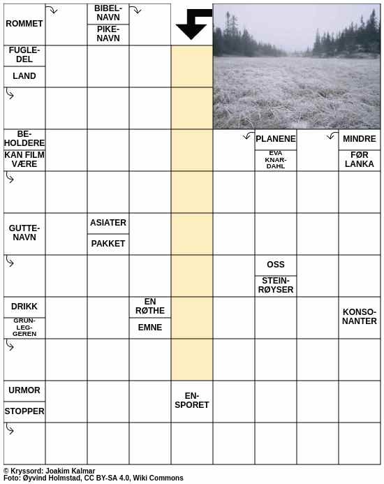 Dagens kryssord – 27. Desember - 2025