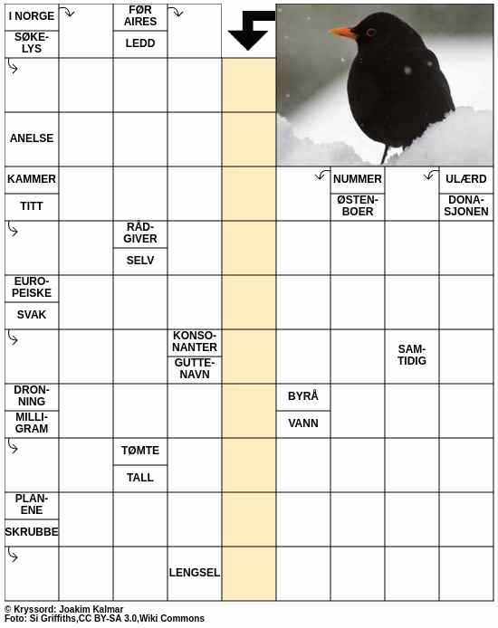 Dagens kryssord – 29. Desember - 2025