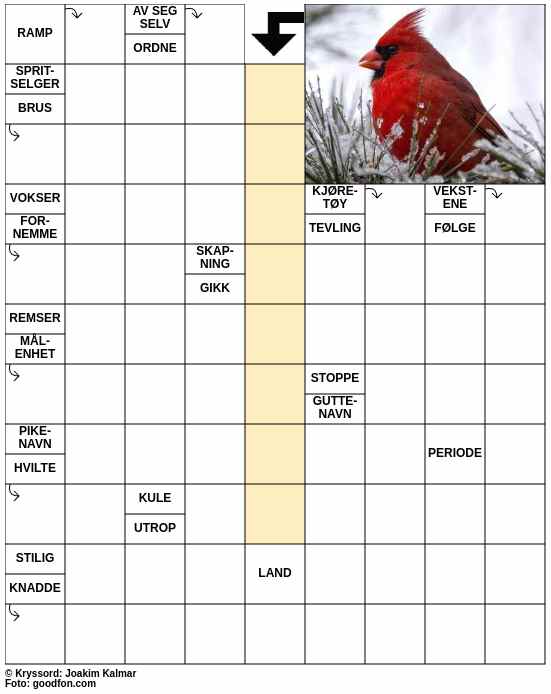Dagens kryssord – 30. Desember - 2025